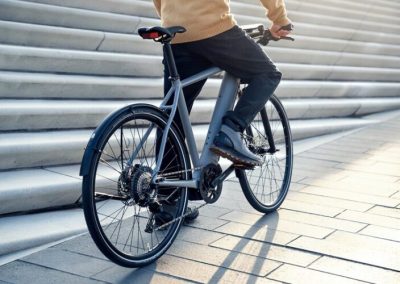Riese & Muller Roadster