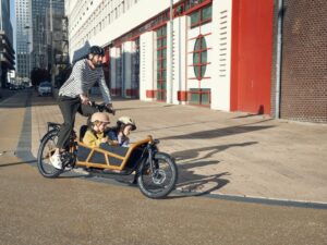 Riese & Müller Load 4 75