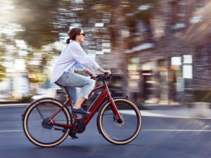 Schindelhauer Hannah Enviolo