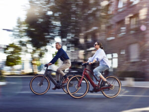 Schindelhauer Heinrich