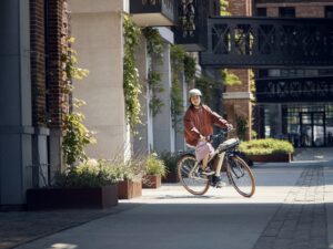 Riese & Müller Cruiser 2 Mixte