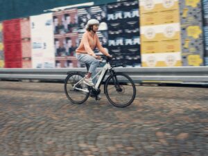 Riese & Müller Roadster 4 Mixte