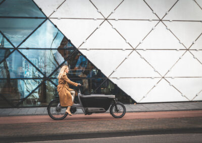 Lovens Explorer S75 moeder